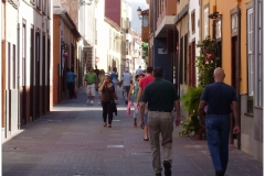 20 calle viana para caminar