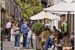 21  calle herradores para compartir