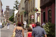 22 calle carrera para todos