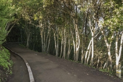 3_sendero