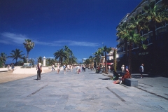 1995-COLON-Diapo35-01